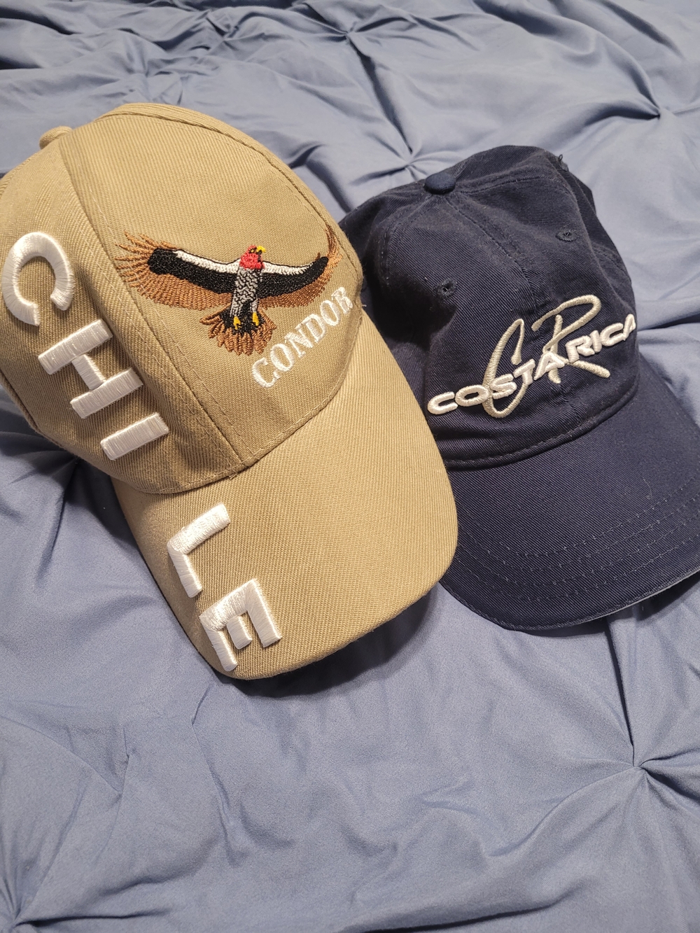 Khaki Condor Embroidered Baseball Cap - Men Accessories